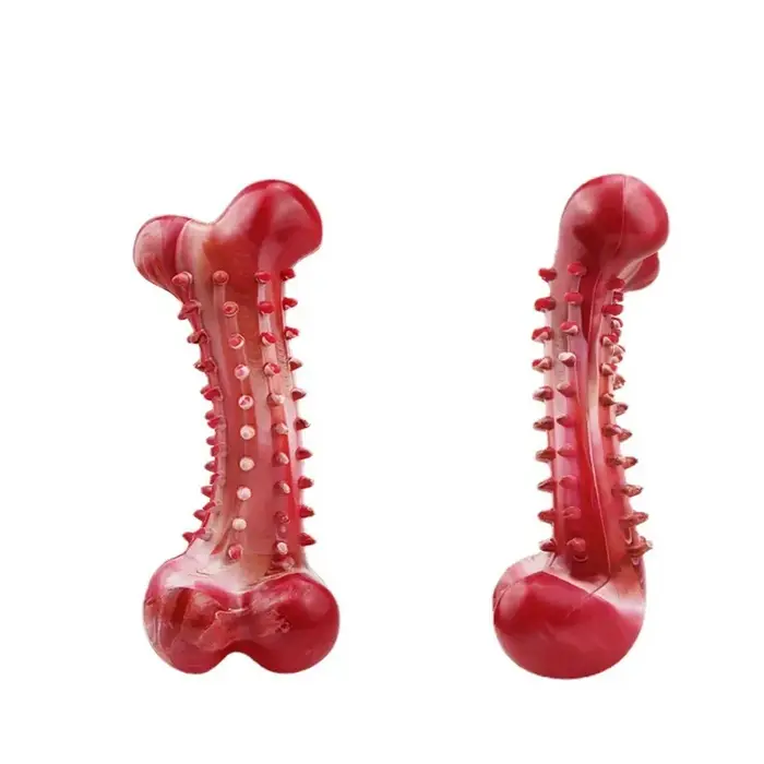 Jouets pour chiens, affûtage des dents, nettoyage des os de chien, entraînement en caoutchouc nature