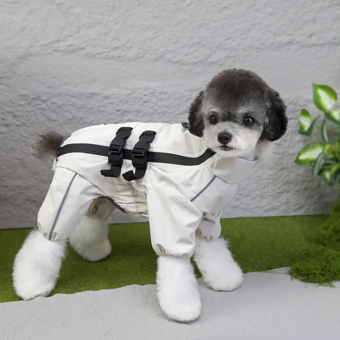 Nouvelle combinaison de pluie pour chien à quatre pattes, imperméable et amovible, vêtements pour an