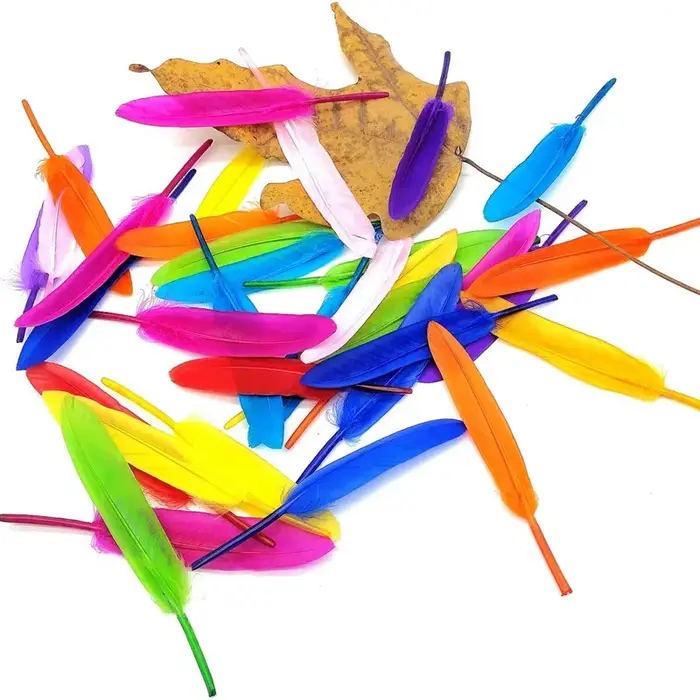 Plumes de canard DIY pour la fabrication de bijoux