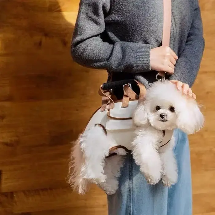 Sac à bandoulière simple pour chiens de petite et moyenne taille, porte-animaux multifonctionnel pou