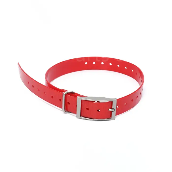 Collier pour chien, nouvelle laisse de 1,9 cm de large, adapté aux petits chiens