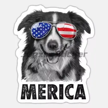 Autocollants d'art pour Border Collie dessin animé à offrir pour chien propriétaire chiot décoration de pare-brise voiture pare-chocsintérieur voiture occa