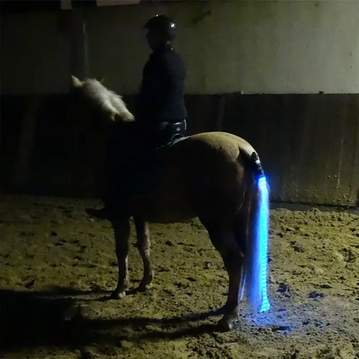 Équipement pour chevaux