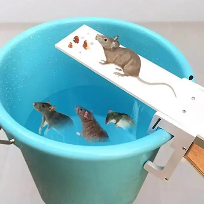 Piège à souris à monter soi-même