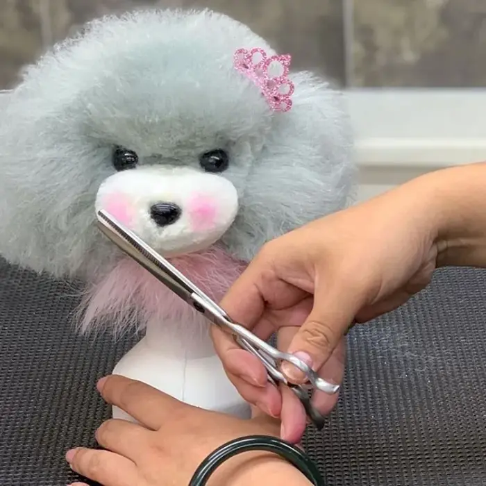 Tête d'entraînement professionnelle pour toilettage canin