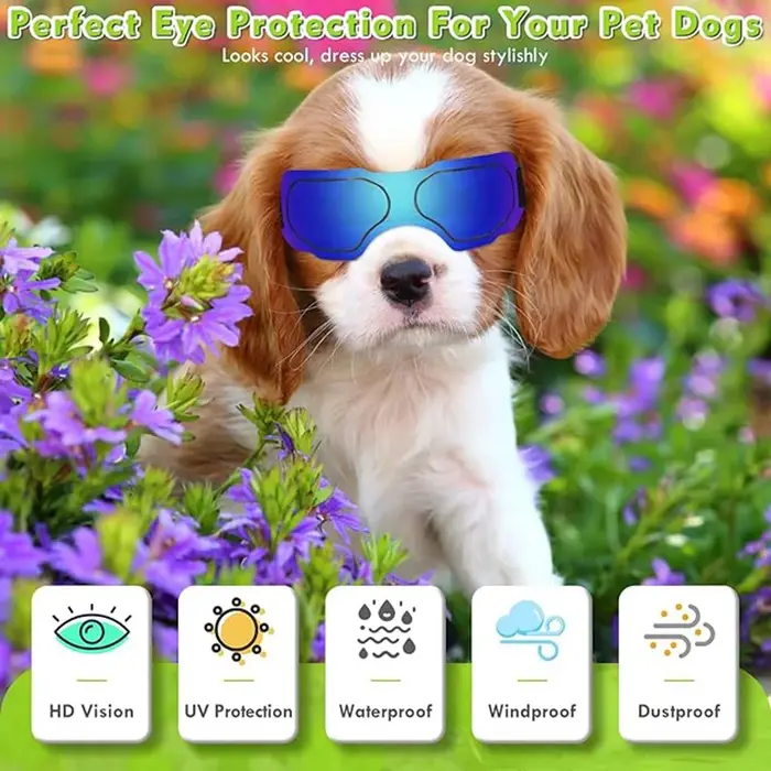 Lunettes de soleil pour petits chiens