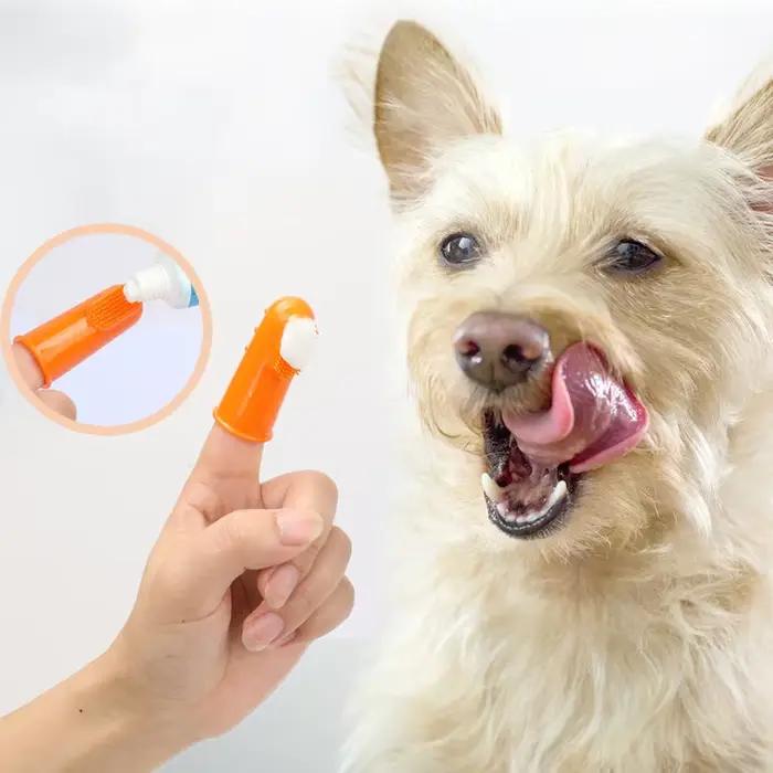 Brosse à dents pour chien