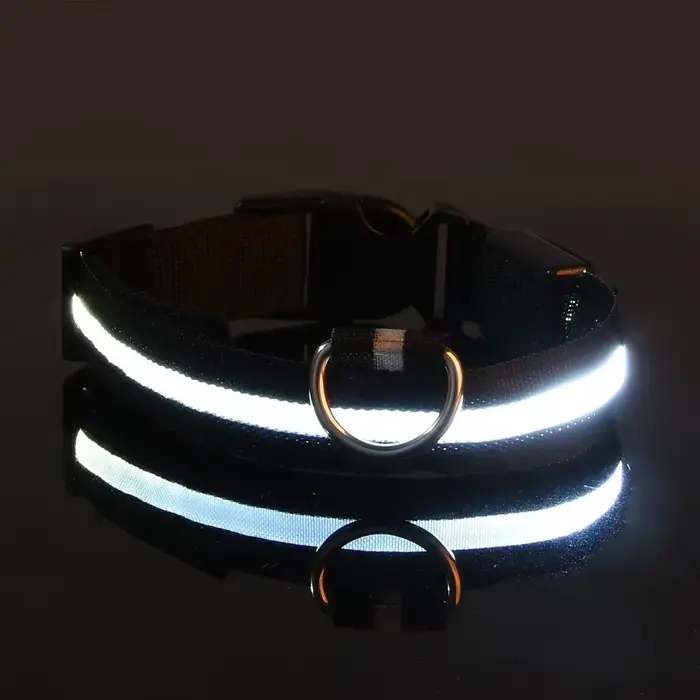 Collier de chien lumière LED nuit sécurité clignotant lueur dans la nuit laisse de chien de compagni