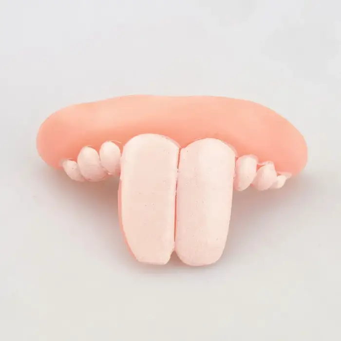 Fausses dents pour chien, prothèses amusantes, fournitures de décoration pour animaux de compagnie, 