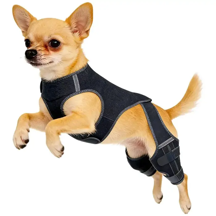 Attelles pour genoux de chien, attelles de soutien pour pattes de chien pour l'arthrose et les lésio