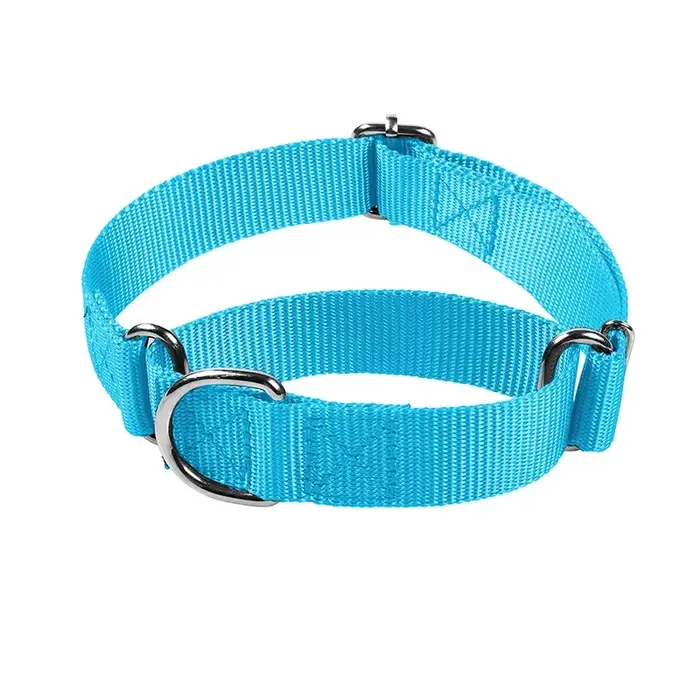 Collier de chien Martingale collier d'entraînement robuste collier de chien de Service en Nylon Dura