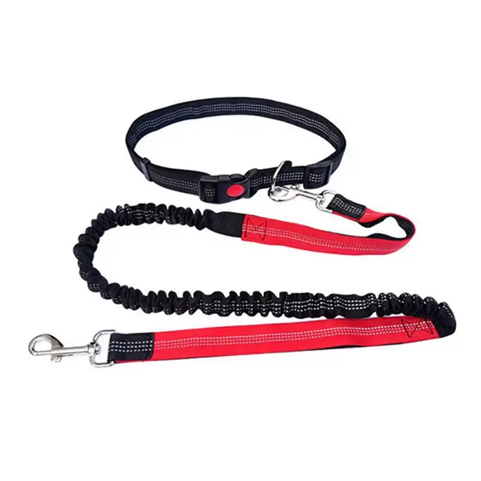 Laisse de chien en nylon élastique durable, adaptée à la course et à la marche, laisse pour animaux 
