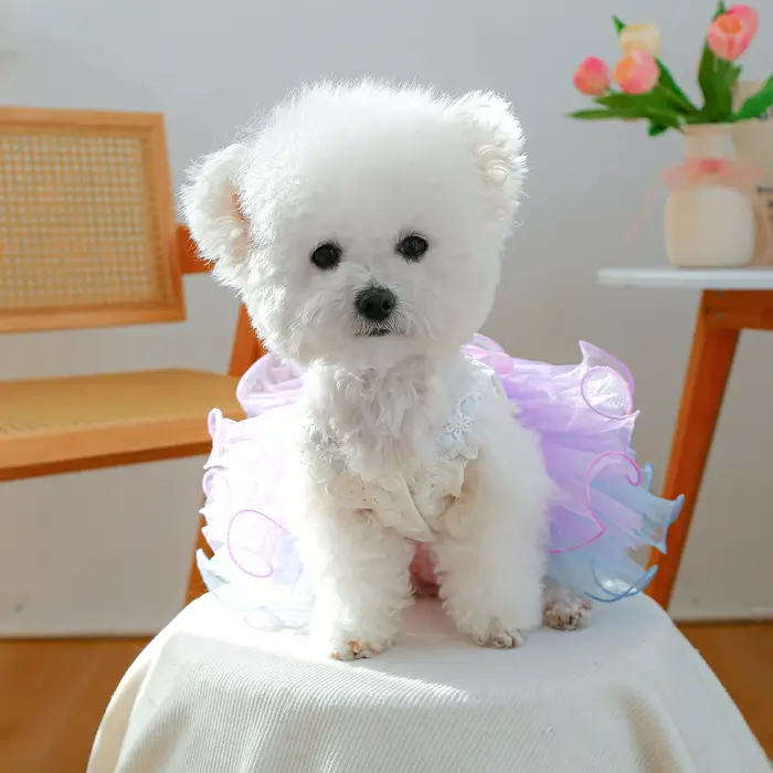 Xingdai rêve gaze jupe vêtements pour animaux de compagnie chiens
