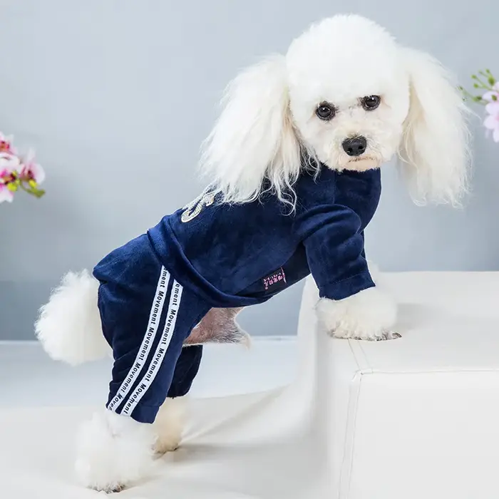 Vêtements de luxe en velours pour chien, combinaison pour chien, petits et moyens chiens, costume po
