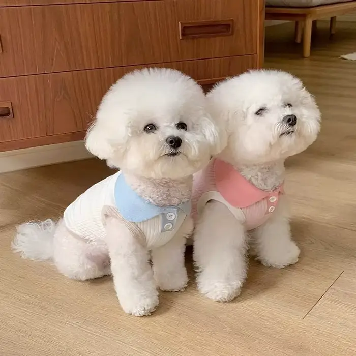 Vêtements d'été pour chiots, Polo pour petits chiens, chat, chien, gilet rafraîchissant, Chihuahua, 