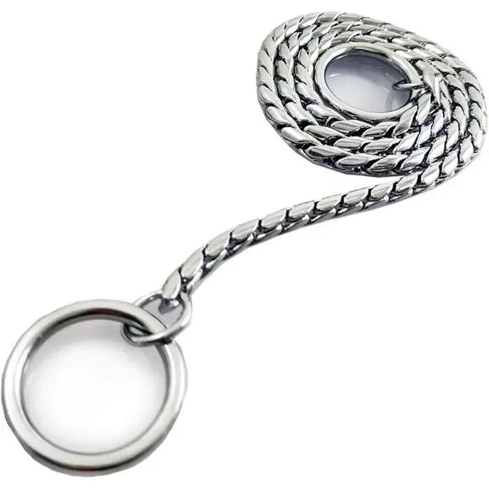 Collier de étranglement en métal pour chien, collier torsadé pour animal de compagnie, salle, specta