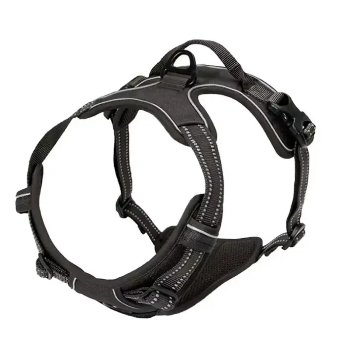 Colliers pour chiens, harnais, grands gilets, laisse, boutique d'animaux, tout pour chiens, accessoi
