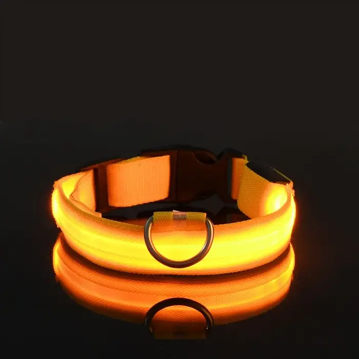 Nylon LED nuit sécurité clignotant lueur dans la nuit laisse pour chien chiens lumineux Fluorescent 