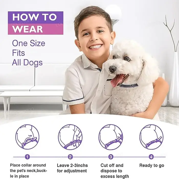 Colliers apaisants à phéromone pour chiens et chats soulageant l'anxiété ajustables pour tous les âges et tailles d'animaux occasions spéciales