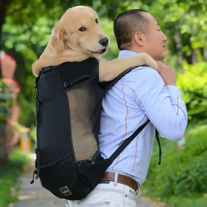 Sac de transport respirant pour chiens de compagnie, pour grands chiens, sac à dos Golden Retriever 