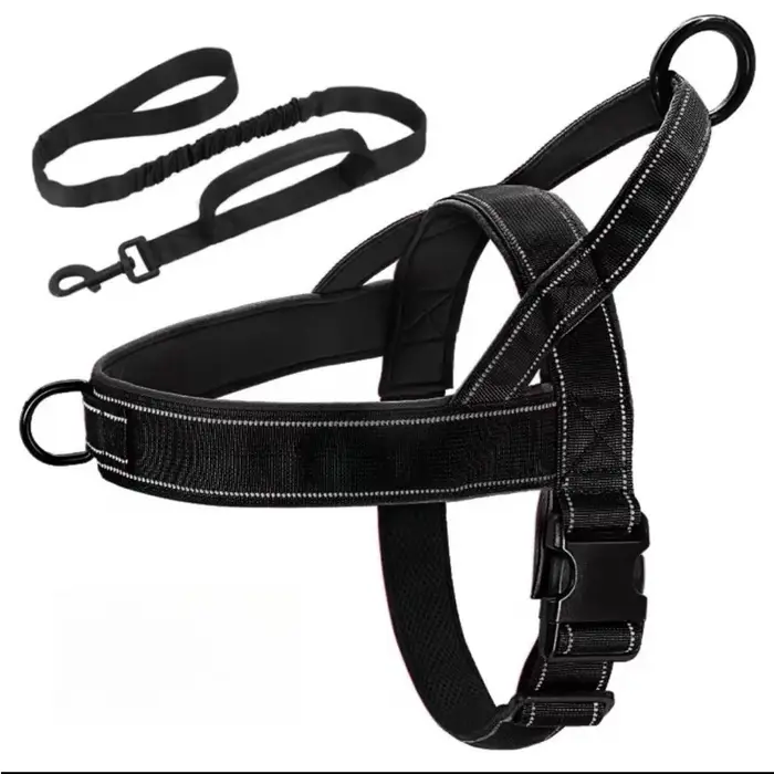 Laisse pour chien, harnais de poitrine et de dos pour grand chien, collier, pour beagle, golden retr