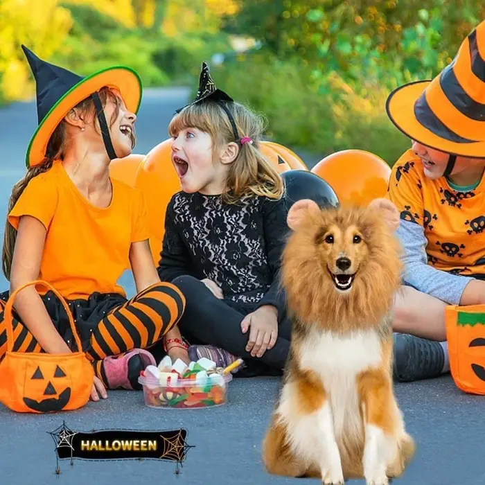 Vêtements de Cosplay drôles et mignons pour chiens