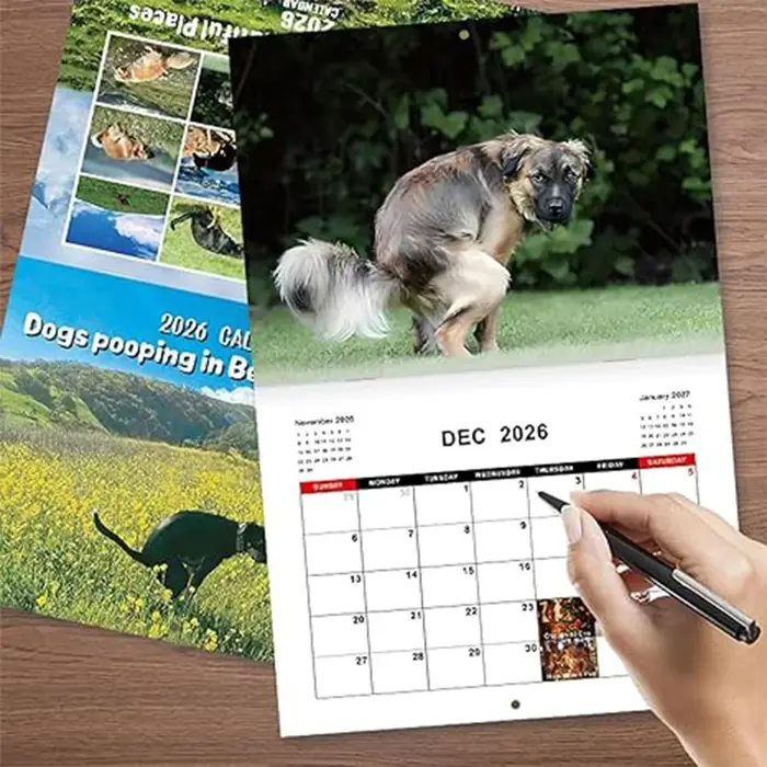 Calendrier pour chiens qui font la merde 2026