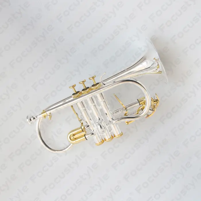 Cornet Soprano professionnel haut de gamme, Cornet spécial Eb à vendre, bon prix, Cornet plaqué arge