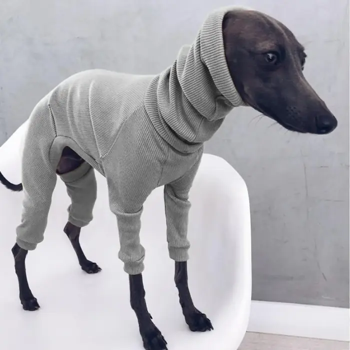 Pyjama pour chien à col roulé pour chiens de taille moyenne et grande, style italien, pour Greyhound