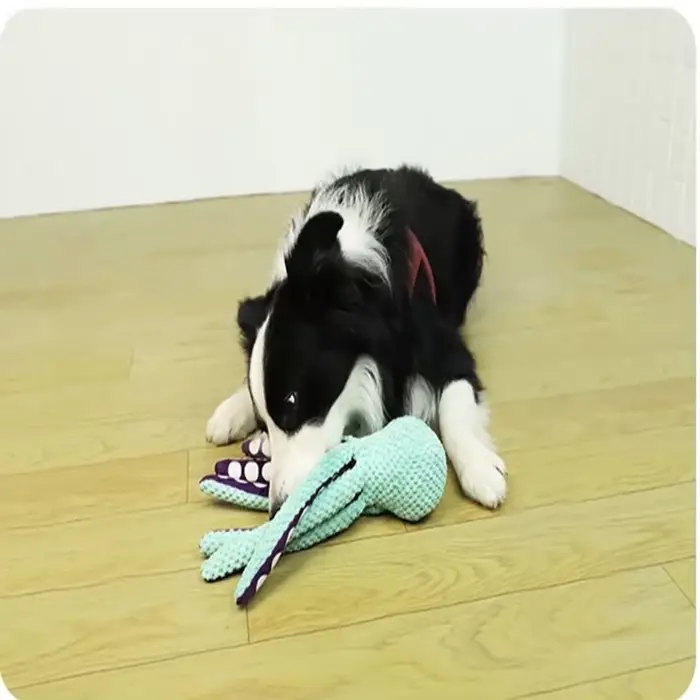 Jouet poulpe en peluche pour chiens vert son interactif maison compagnon d'ennui jouet résistant à la mastication