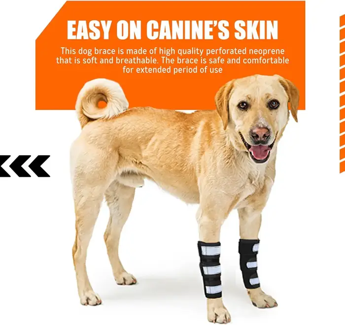 Attelle de jambe avant 1 Pari pour chien et chat, attelle pour chiot avec inserts à ressort métalliq