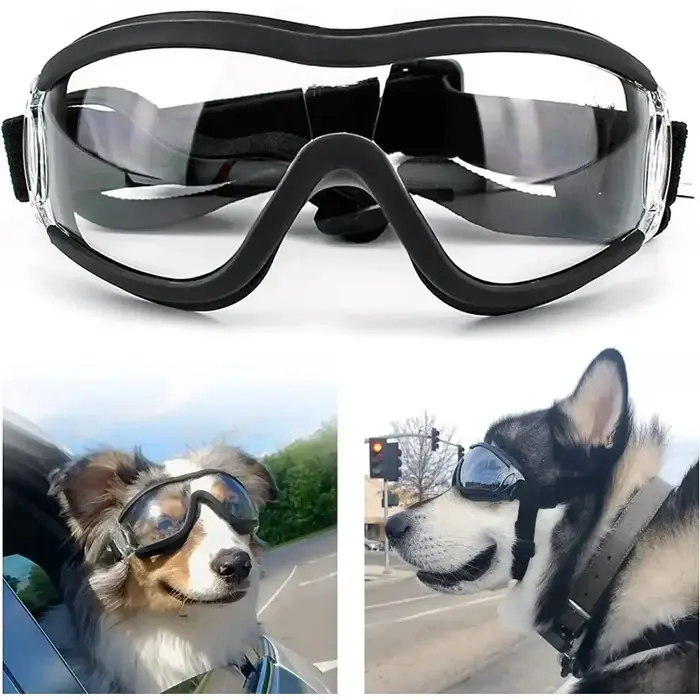 Lunettes de soleil avec sangle réglable pour chiens moyens et grands, lunettes de voyage, lunettes d
