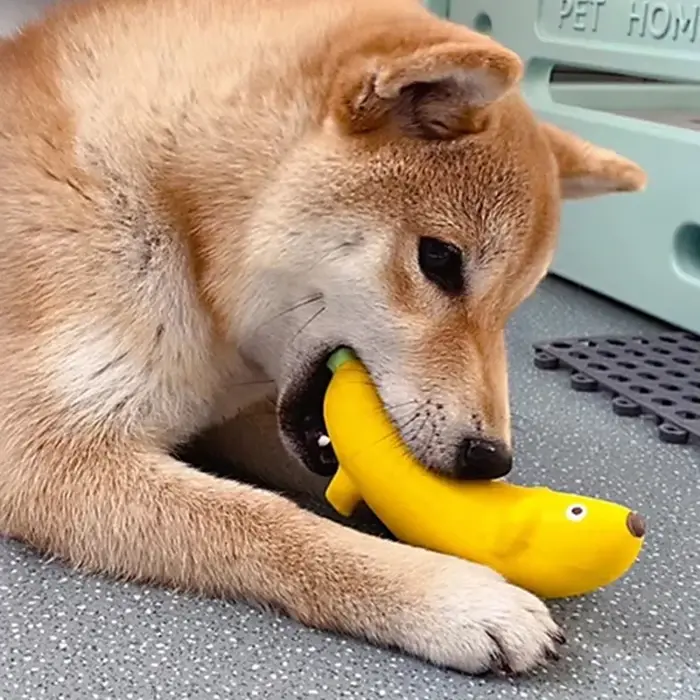 Jouet sonore pour chien en forme de banane