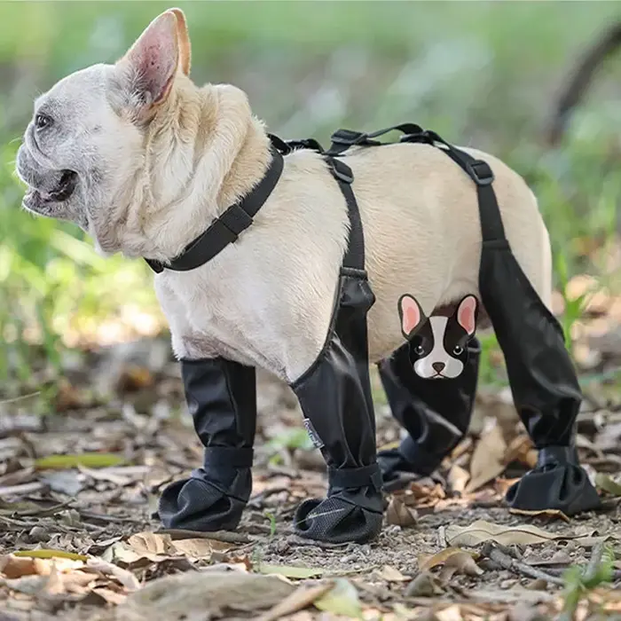 Chaussures antidérapantes pour chien bottes de pluie protecteurs de pattes anti-salissure et anti-chute chaussettes de suspension pour chienextérieur