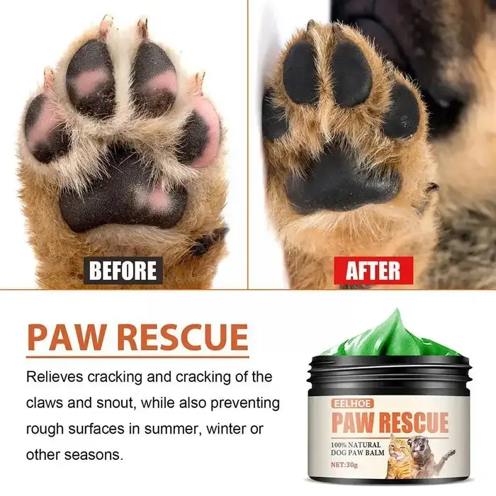 Crème de soin des pattes pour chiens baume protecteur graines de tournesol cire d'abeille blanche soulagement fissures peau irritation protection durable occasions spéciales