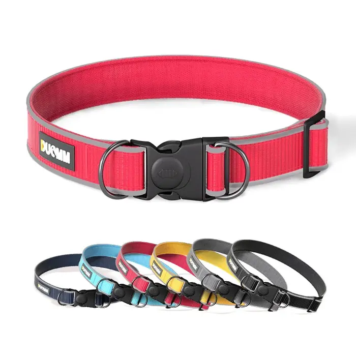Collier réfléchissant pour chien