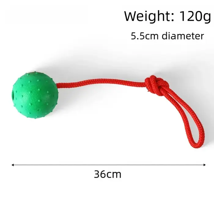 Balle sur corde pour chien, jouet résistant aux morsures, balle interactive pour chien avec corde, l