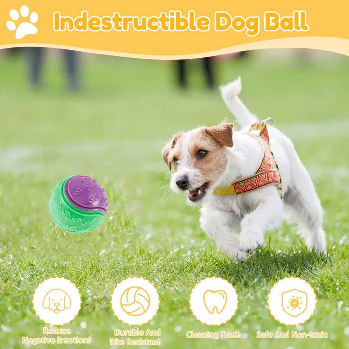 Boules grinçantes pour chiens, 6 pièces, jouets interactifs TPR, jouet à mâcher pour chien, nettoyag