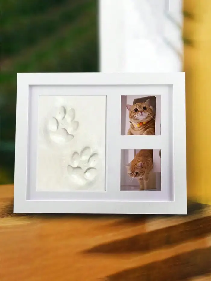 Cadre photo empreinte de patte d'animal, cadre photo commémoratif pour empreintes de chien et de cha