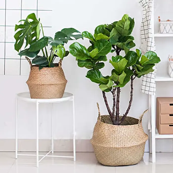 Tissé sale stockage jonc de mer osier rotin suspendu Pot de fleur plante organisateur jardin Gadgets