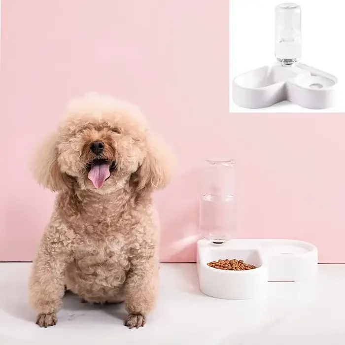 Bol pour chien mangeoire automatique pour animaux de compagnie bol à boire