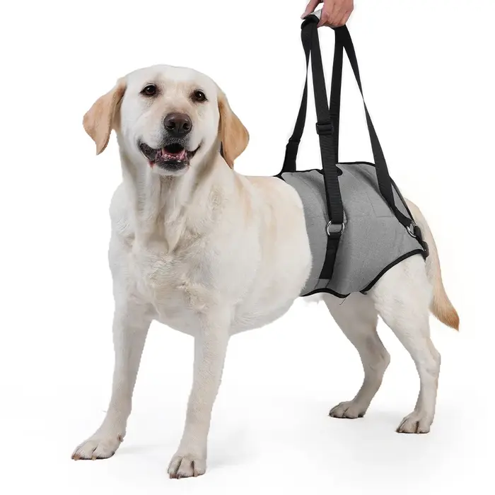Harnais de soutien pour pattes arrière de chien, pour la récupération post-chirurgicale, aide à la m
