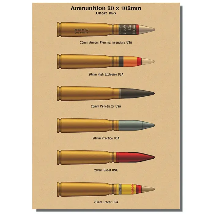 Armes vintage pour décoration de salon