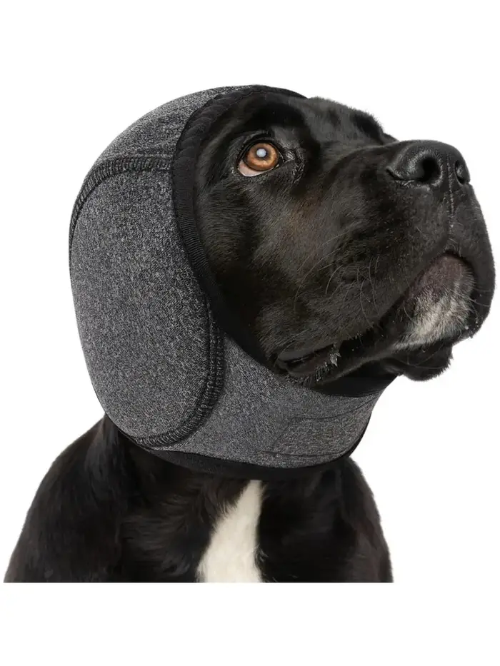 Cache-oreilles imperméables pour chiens, pour nager et toilettage, capuche apaisante antibruit pour 