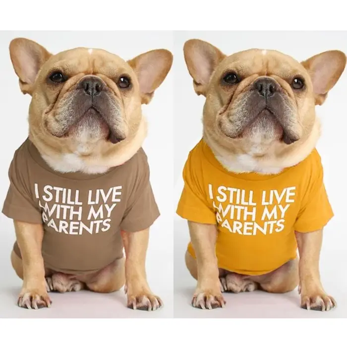 T-shirt en Coton Respirant avec Lettres Imprimées pour Petit et Moyen Chien