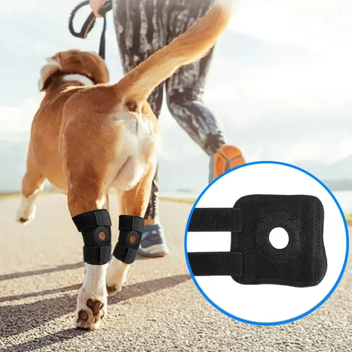 Genouillères de protection pour animaux de compagnie