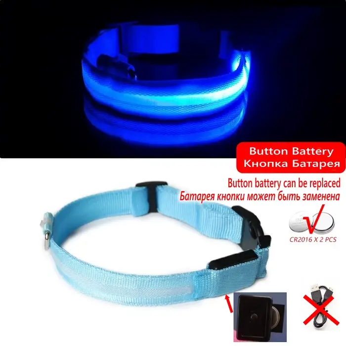 Collier Anti-perte pour chien, lumière Led, fournitures lumineuses de nuit pour chiots, produits pou