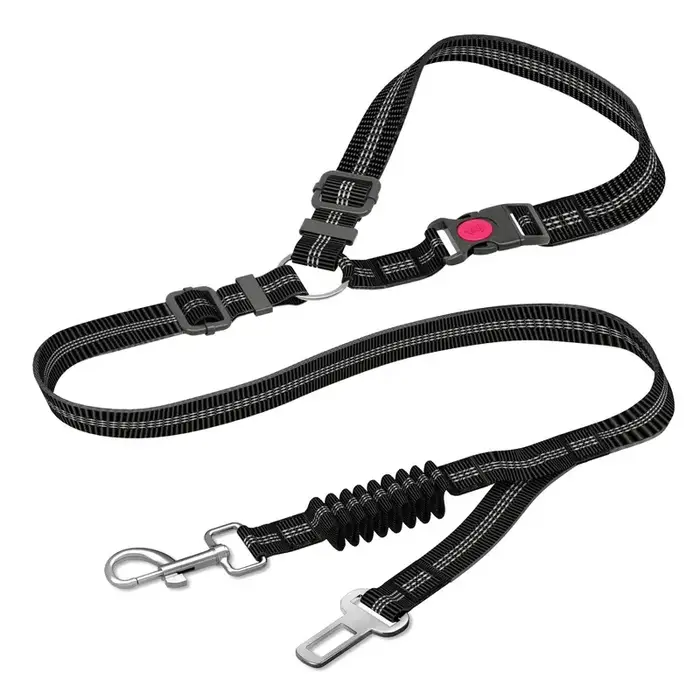 Ceinture de sécurité pour chien