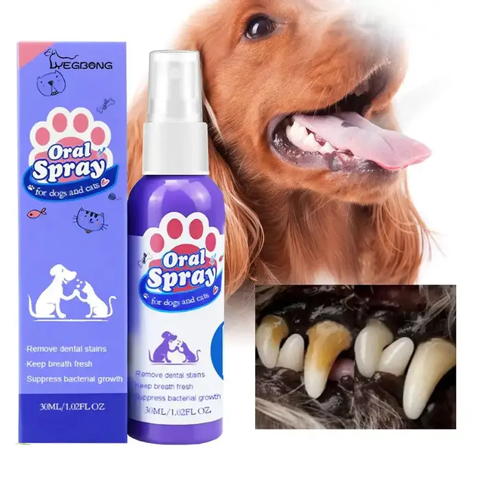 Spray Dentaire pour Animaux de Compagnie, Spray à la Menthe et au Tartre, pour Boissons, Mauvais Dés