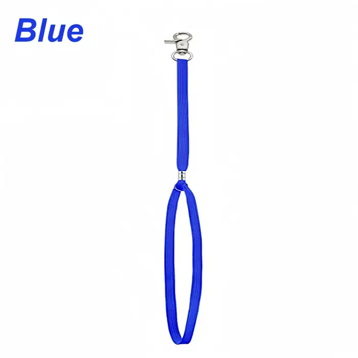 Corde de sécurité en nylon, attache de retenue, corde de fixation pour chien et chat, clip de verrou